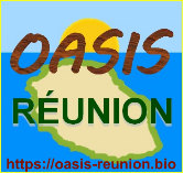 Webinaire Oasis Réunion avec Eric Escoffier, le 15 décembre 2022