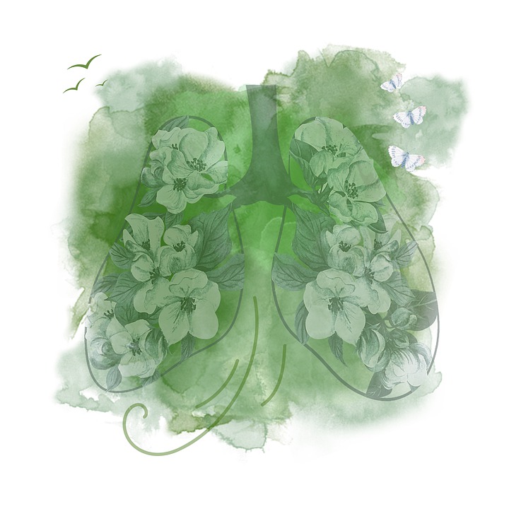 Atelier Yoga et mobilités myofasciales : le souffle, dimanche 25 juin 2023 à Opio (06)