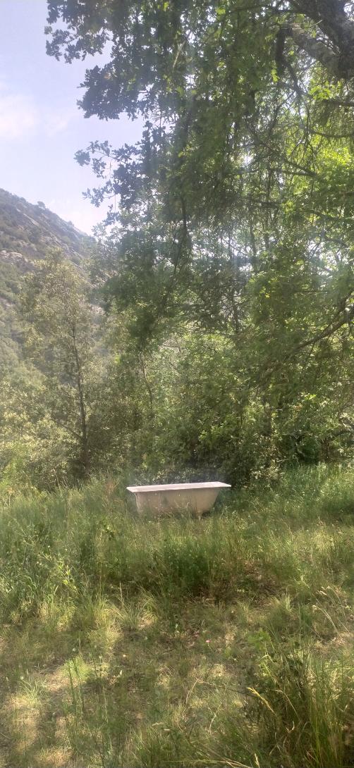 « Ma bulle Bien-être » – Démarrage le 01 septembre 2024 à Saint-Cézaire-sur-Siagne (06)
