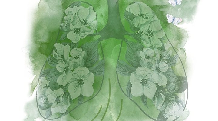 to-breathe-permaculture-mains-sages
